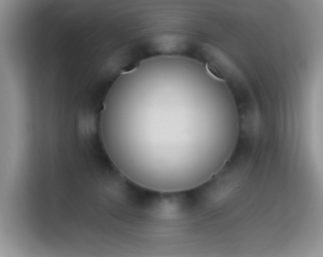 X0000114080368200910051404