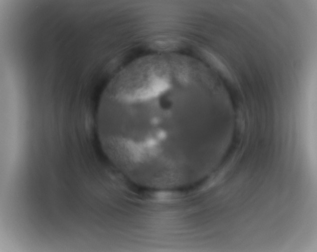 X0000114080371200910051404