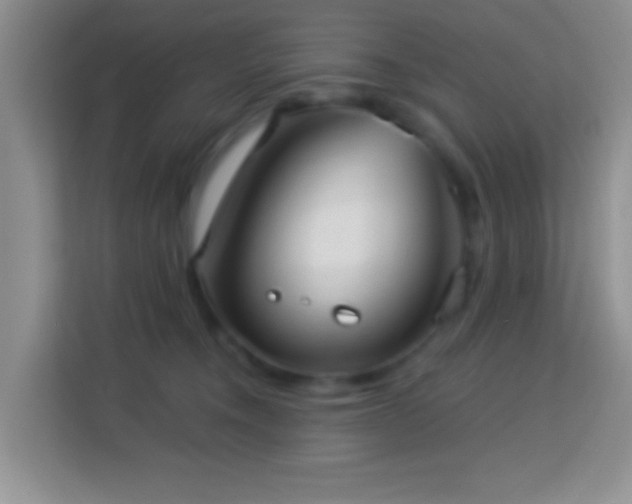 X0000114080372200910051404