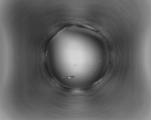 X0000114080380200910051404