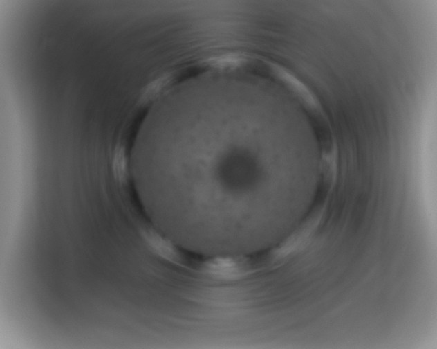 X0000114080381200910051404