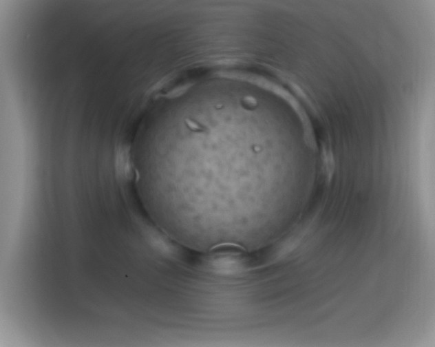 X0000114080383200910051404