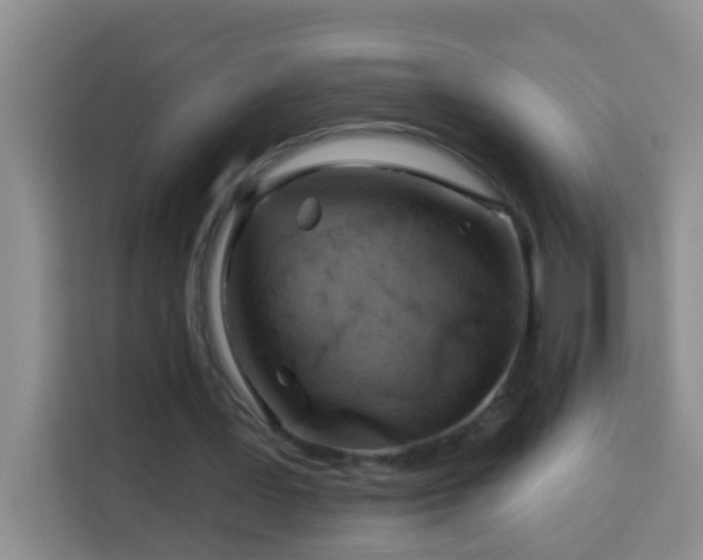 X0000114080387200910051403