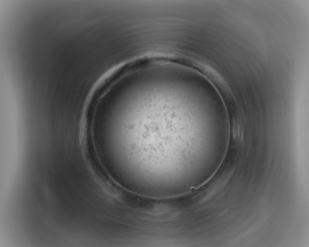 X0000114080388200910051403