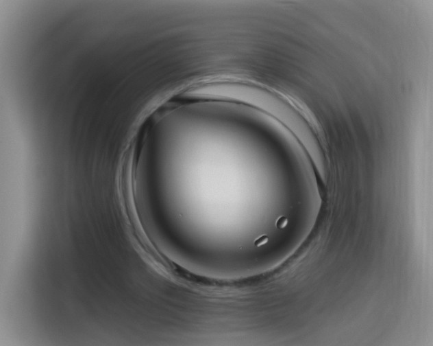 X0000114080389200910051403