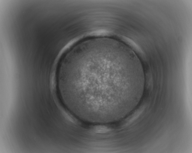 X0000114080392200910051403