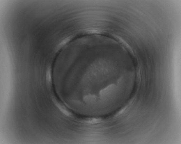 X0000114080398200910051403