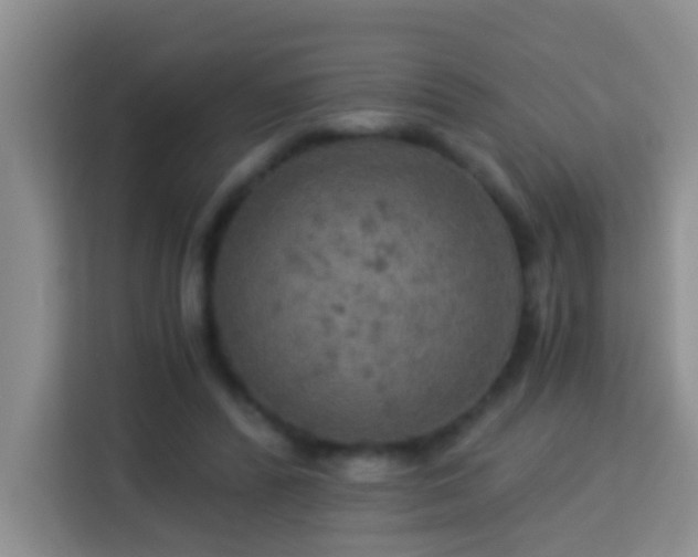 X0000114080400200910051403