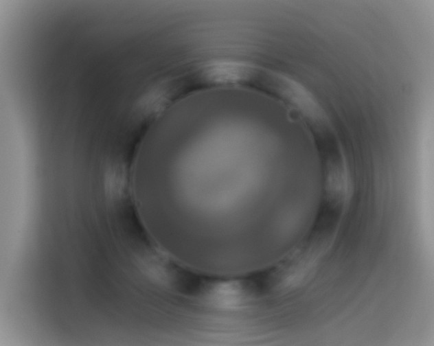 X0000114080411200910051403