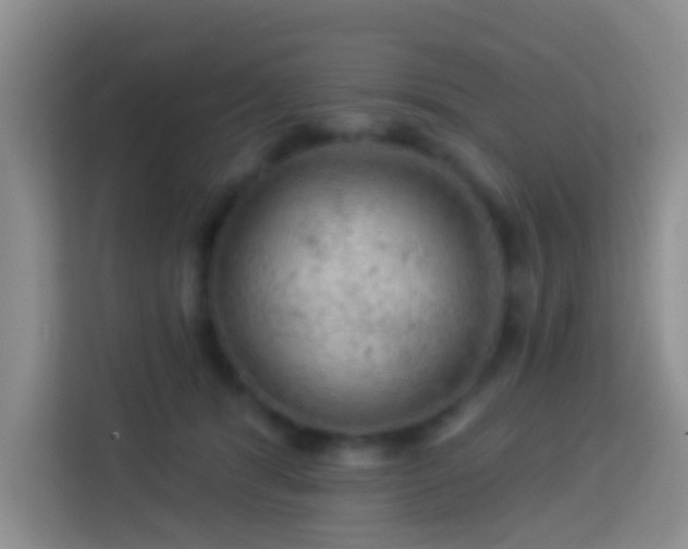 X0000114080416200910051403