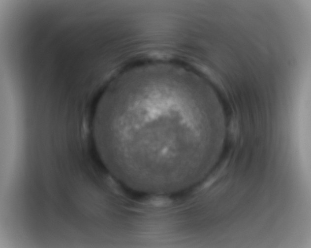 X0000114080424200910051403