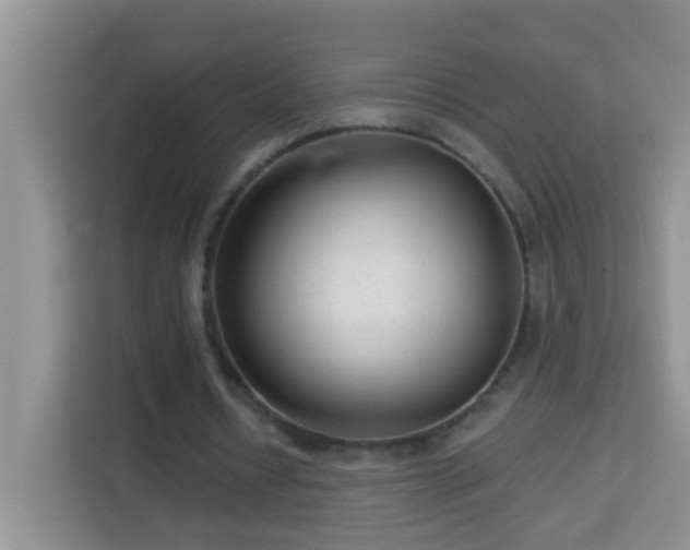 X0000114080434200910051402