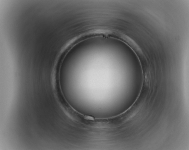 X0000114080436200910051402