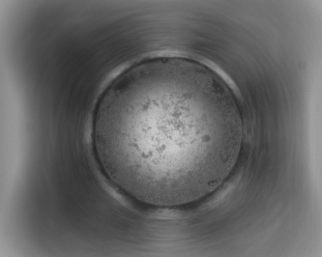 X0000114080437200910051402