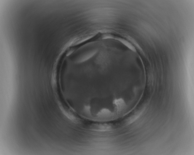 X0000114080443200910051402