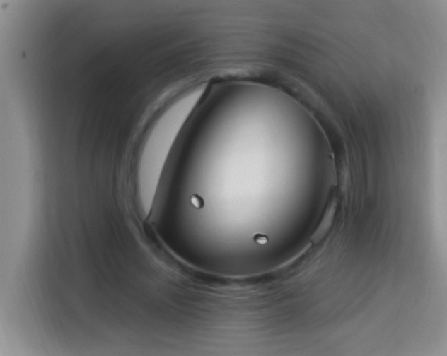 X0000114080444200910051402