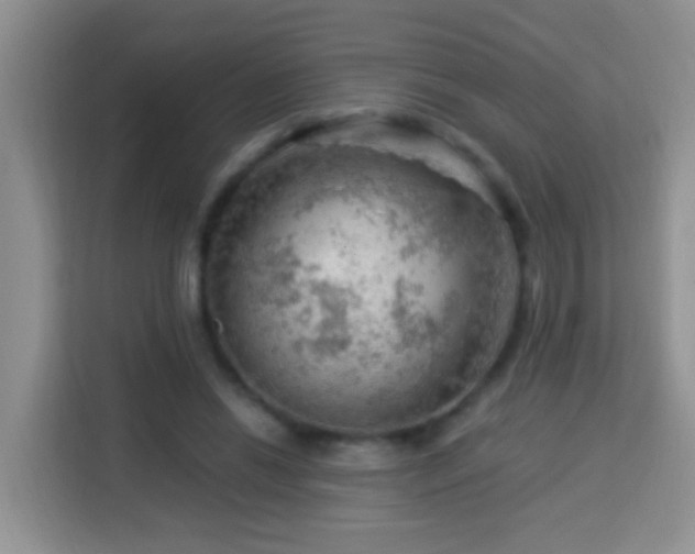 X0000114080446200910051402