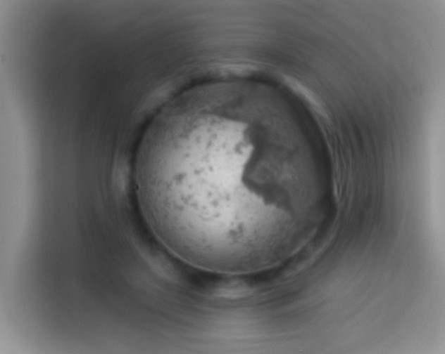 X0000114080451200910051402