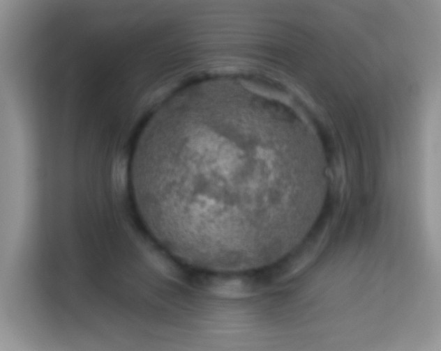 X0000114080454200910051402