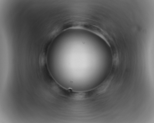 X0000114080474200910051402