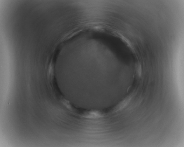 X0000114080475200910051402