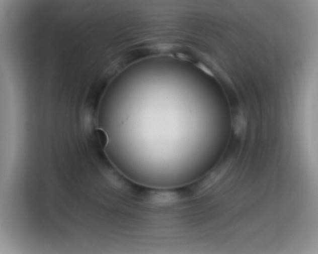 X0000114080476200910051402