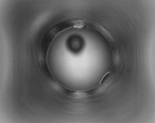 X0000114080477200910051402