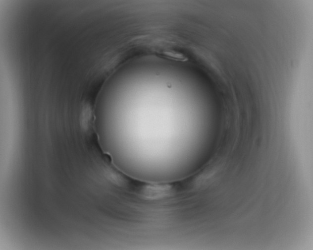 X0000114080480200910051402