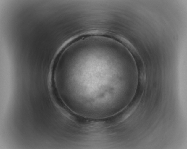 X0000114080484200910051402