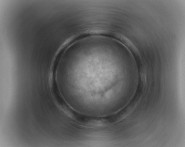 X0000114080488200910051402