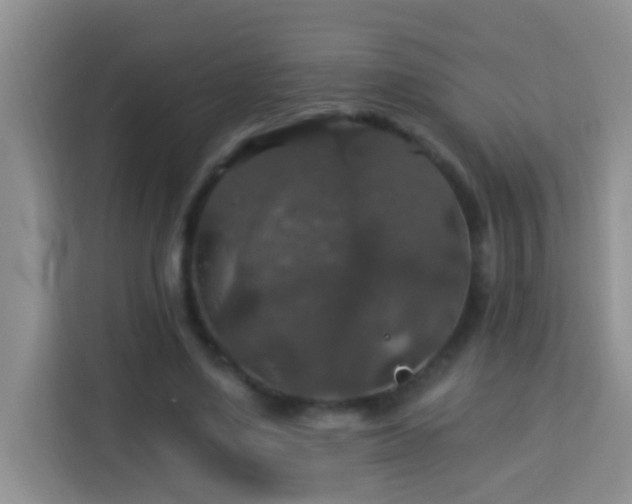 X0000114080491200910051402