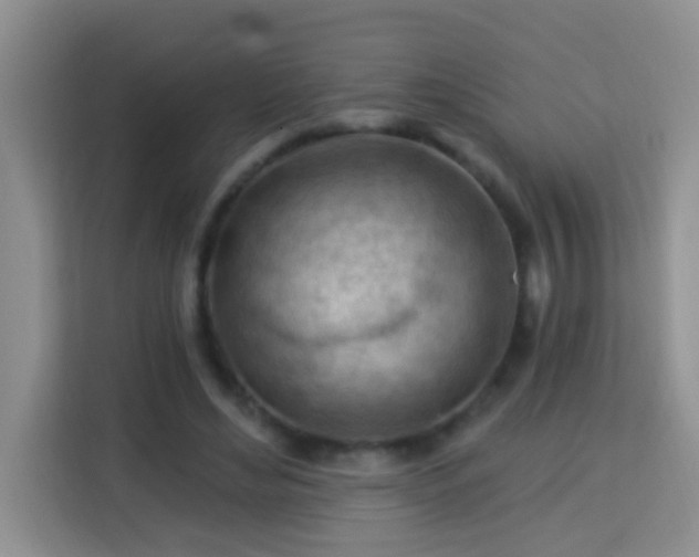 X0000114080492200910051402