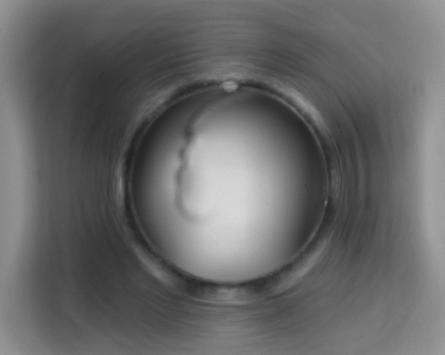 X0000114080493200910051402