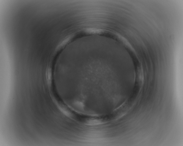 X0000114080494200910051402