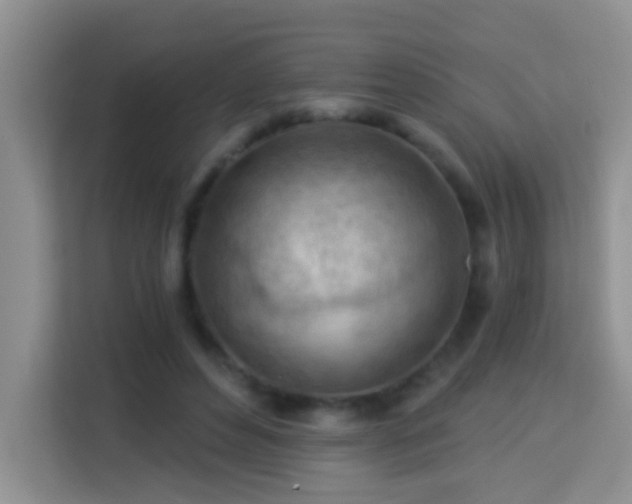 X0000114080496200910051402