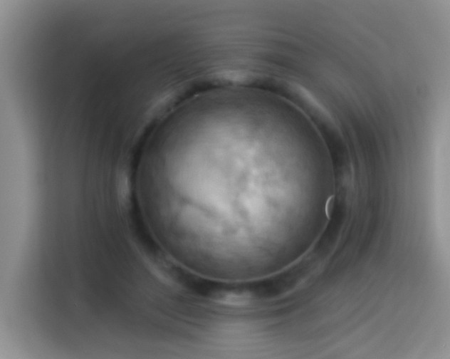 X0000114080500200910051401