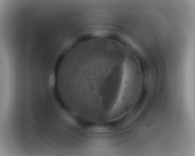 X0000114080502200910051401