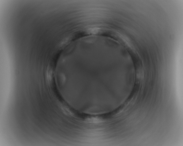 X0000114080503200910051401