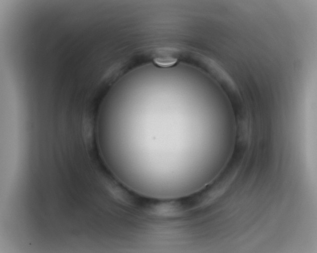 X0000114080505200910051401