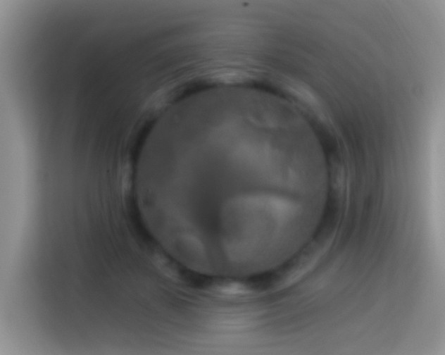 X0000114080507200910051401