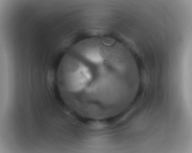 X0000114080511200910051401