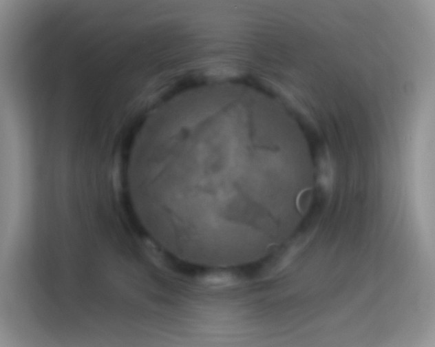 X0000114080519200910051401