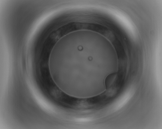 X0000114080526200910051401