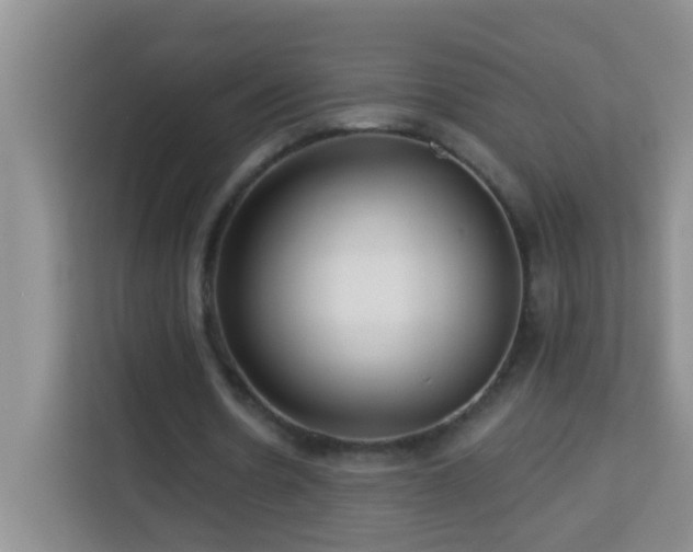 X0000114080530200910051400