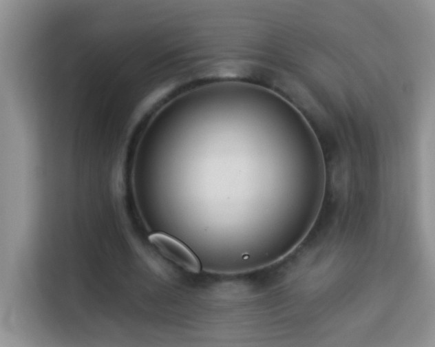 X0000114080536200910051400