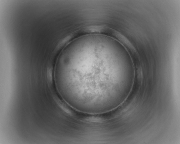 X0000114080537200910051400