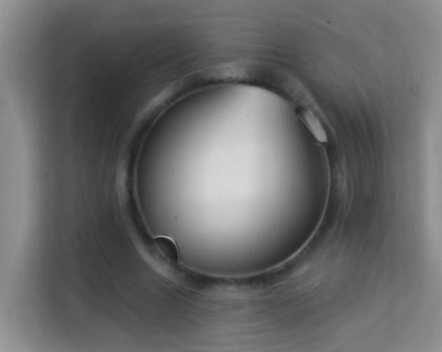 X0000114080538200910051400