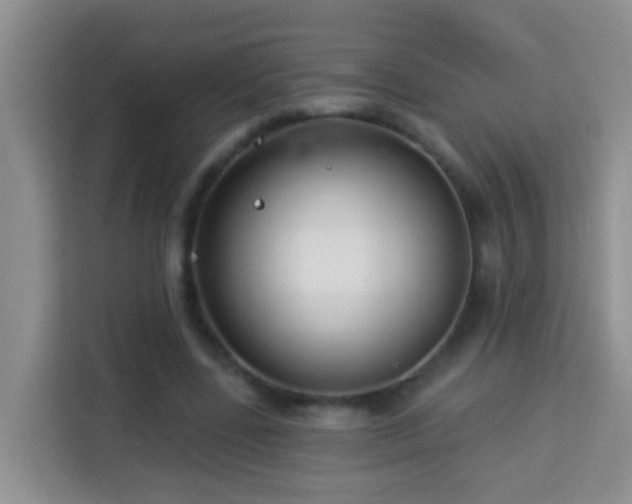 X0000114080539200910051401