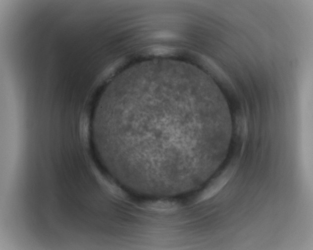 X0000114080542200910051401