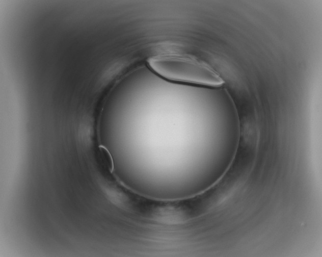 X0000114080544200910051401